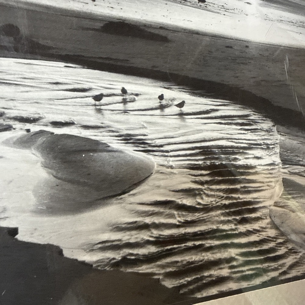 Ansel Adams Birds on a Beach Evening Framed Framed 1966 Photo 12x14 Wall Art VTG - Picture 4 of 15